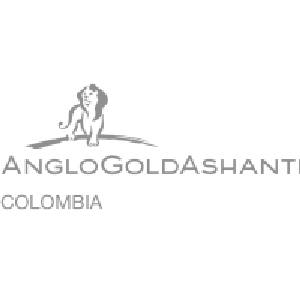 Logo AngloGold